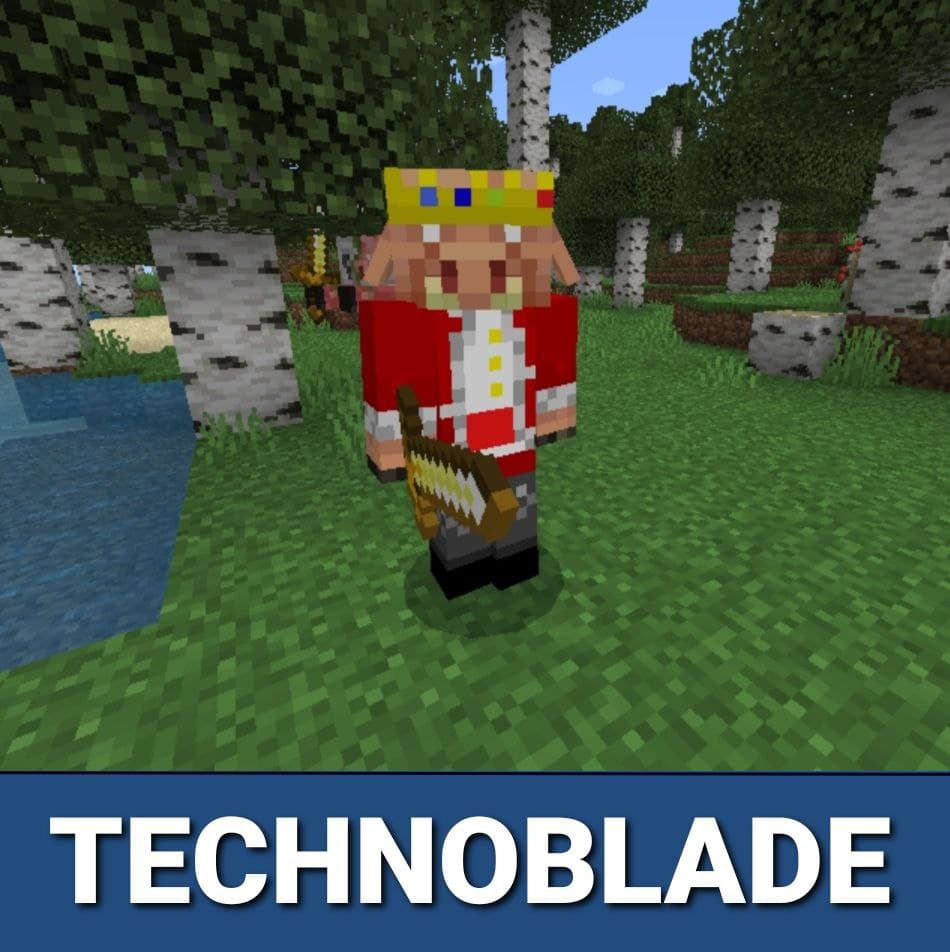 my new Minecraft skin in memory of technoblade : r/Technoblade