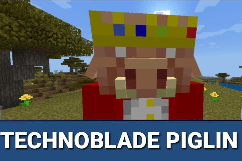 Who Is Technoblade Minecraft: His Skin, Texture Pack, And More