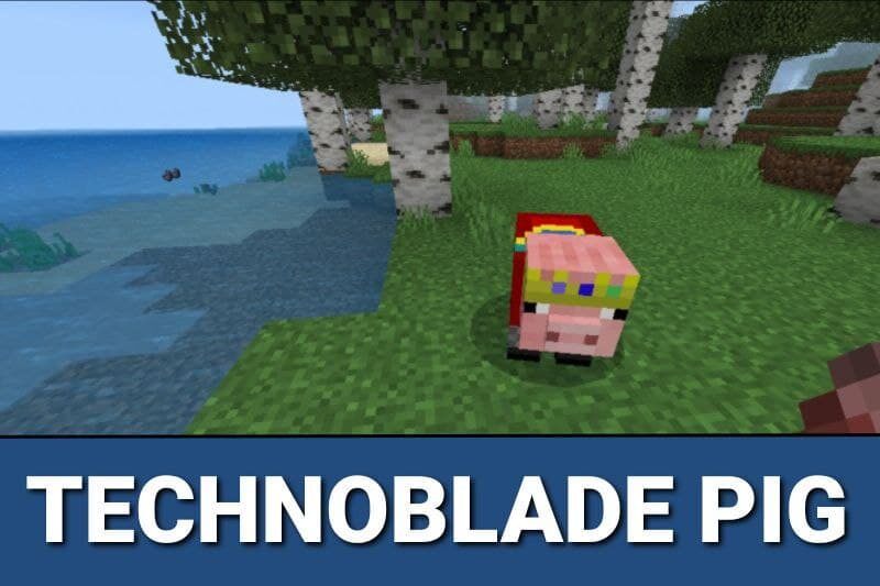 How to Get TECHNOBLADE PIG CROWN in Minecraft! - Technoblade