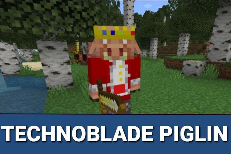 Minecraft 1.19 how to download and use Technoblade's skin