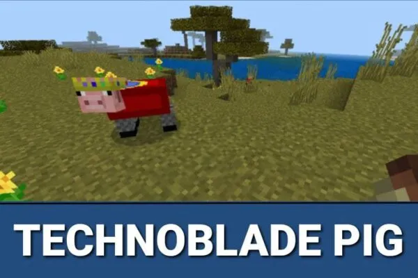 Technoblade Pig