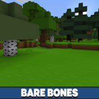 Bare Bones Texture Pack for Minecraft PE