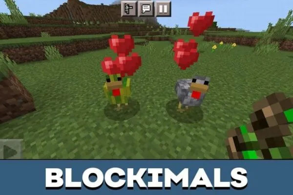 blockimals-chicken-minecraft-pe