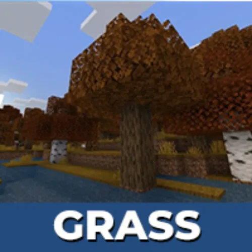 Grass Texture Pack for Minecraft PE