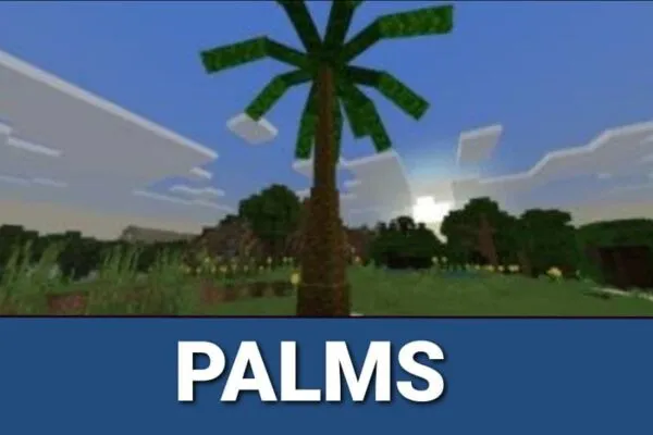 Palms