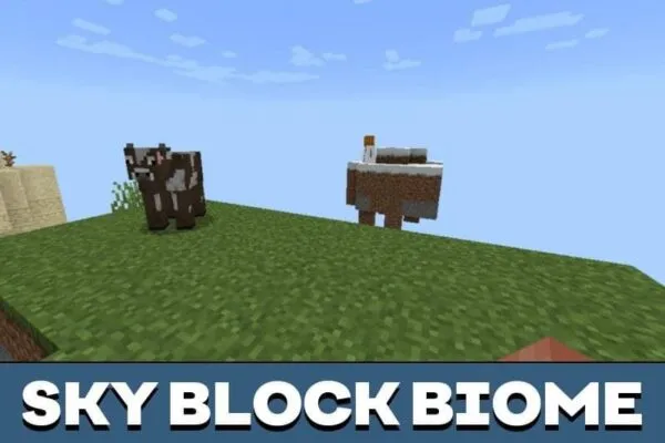 Sky Block Biome