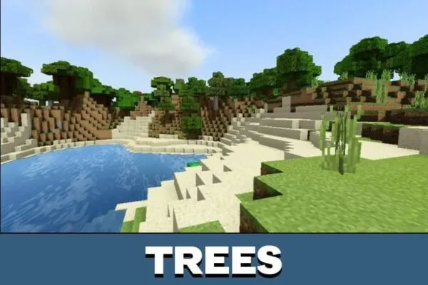 Trees