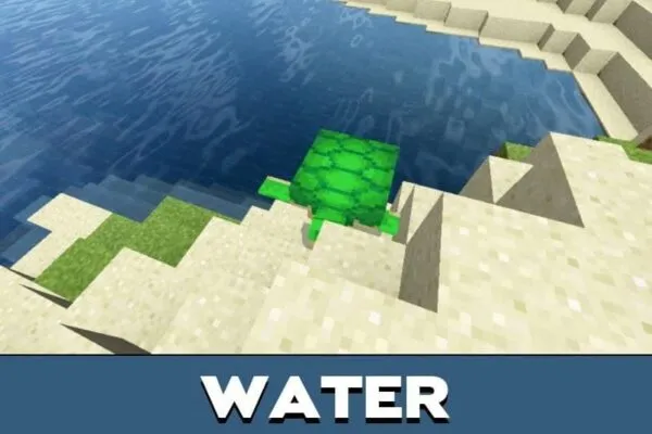 Water