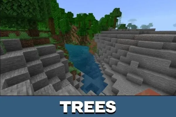 Trees