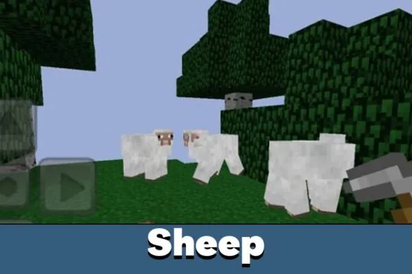 sheep-minecraft-pe