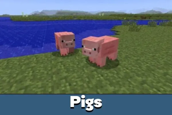 pig-minecraft-pe