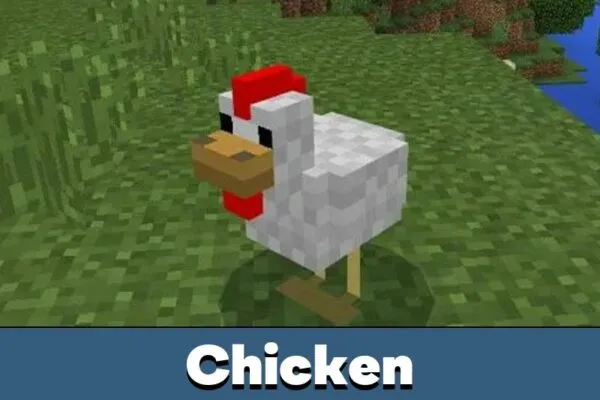 chicken-minecraft-pe