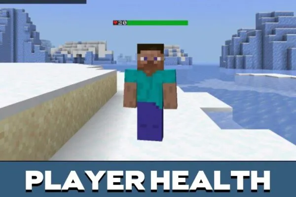 Player from Health Bar Mod for Minecraft PE