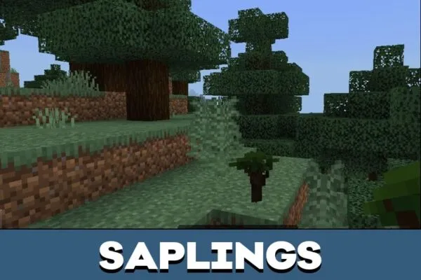 Saplings from Lord of the Rings Mod for Minecraft PE