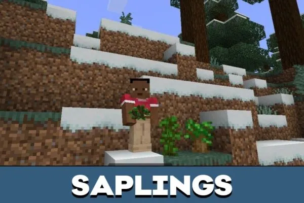 Saplings from Tree Mod for Minecraft PE