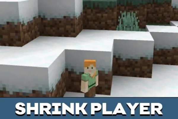 shrink-player-minecraft-pe