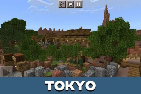 Tokyo from Disneyland Map for Minecraft PE