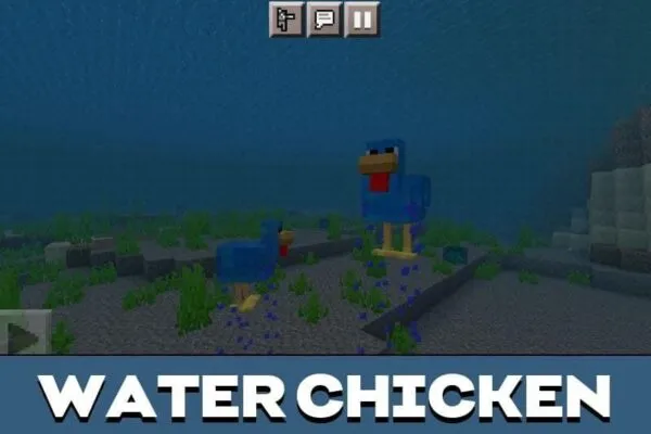 water-chicken-minecraft-pe