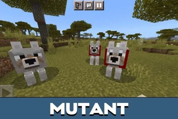 wolf-mutant-minecraft-pe