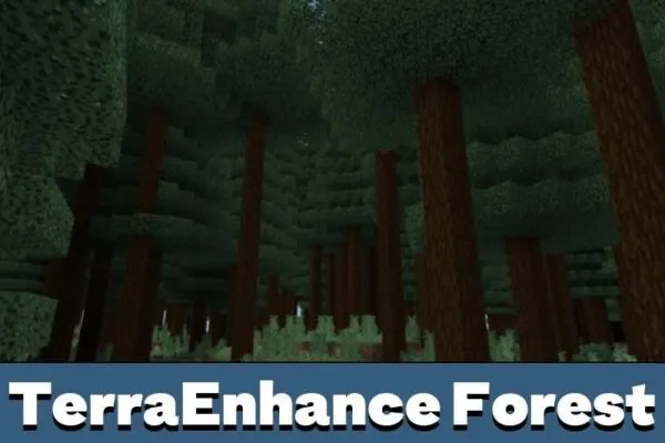 forest-biomes-mod-minecraft-pe