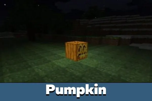 pumpkin-minecraft-pe