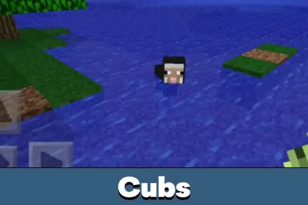 cub-minecraft-pe