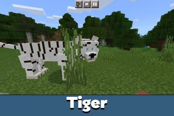 tiger-minecraft-pe