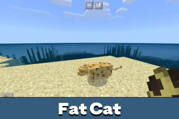 fat-cat-minecraft-pe