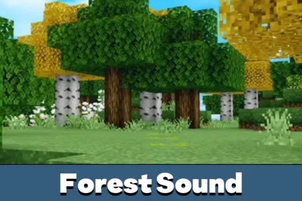 Forest Sound in Ambient Sounds Mod for Minecraft PE