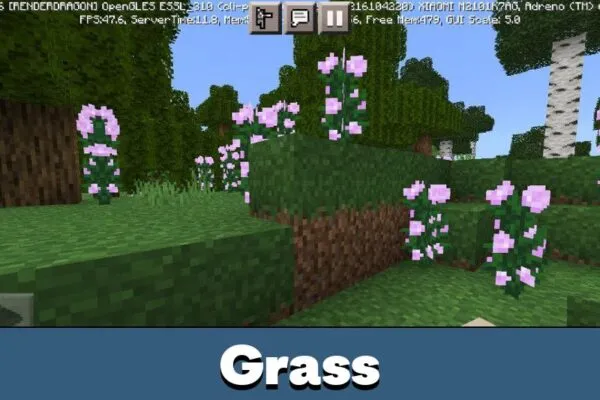 Grass in Better Foliage Texture Pack for Minecraft PE