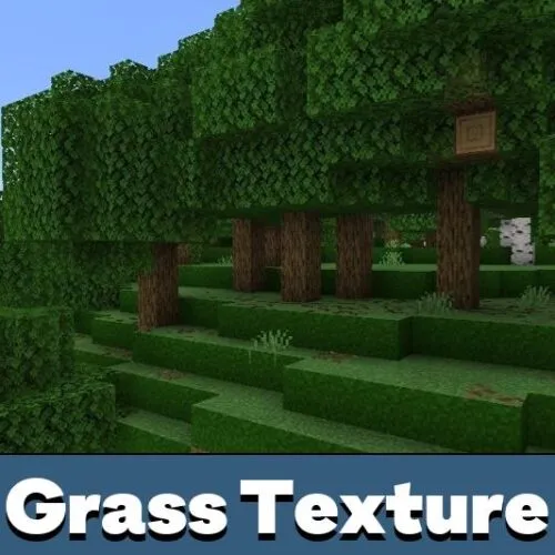 Grass Texture Pack for Minecraft PE