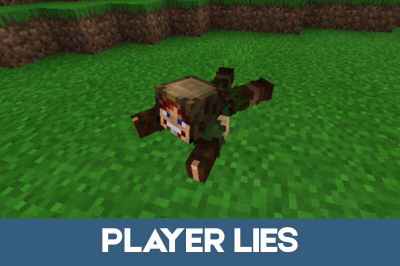 Addon Player Action Optimization Mcpe 1.16 1.19 