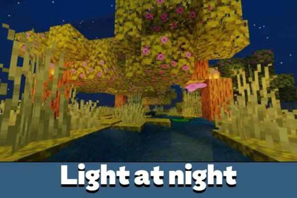 Light at Night in Edis Shaders for Minecraft PE