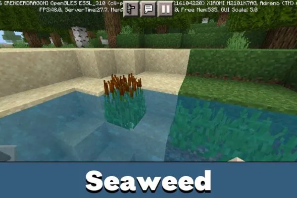 Seaweed in Better Foliage Texture Pack for Minecraft PE