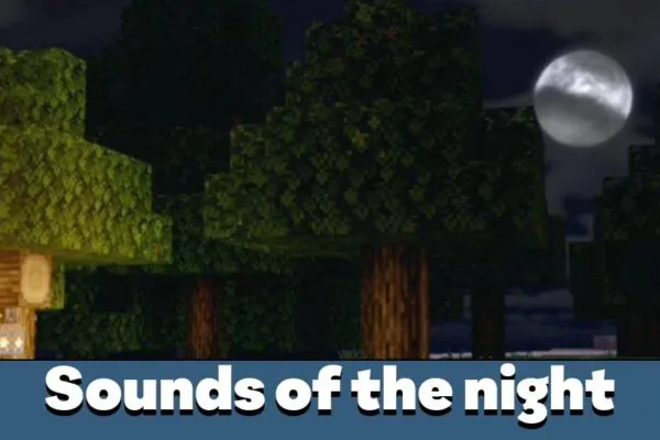 Night Sound in Ambient Sounds Mod for Minecraft PE