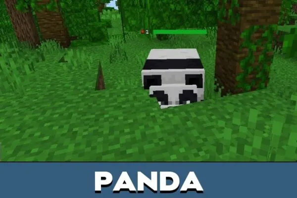 Panda from Health Bar Mod for Minecraft PE