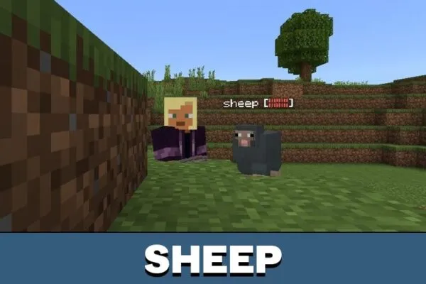 Sheep from Health Bar Mod for Minecraft PE