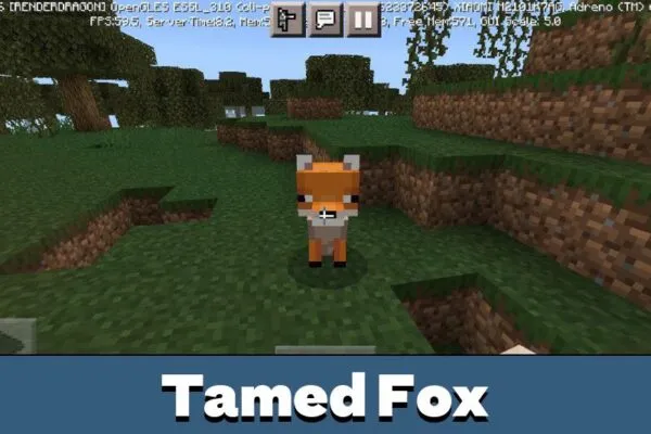 Tamed Fox in Fox Mod for Minecraft PE