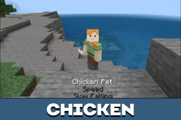 Chicken from Inventory Pets Mod for Minecraft PE