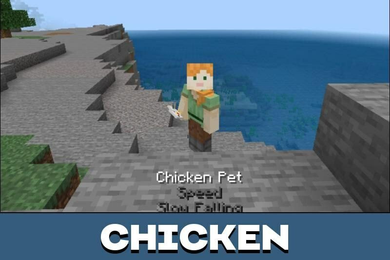 pet chicken minecraft