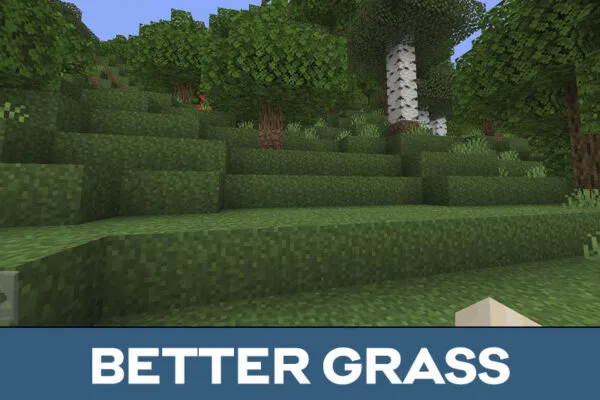 Grass in Better Vanilla Texture Pack for Minecraft PE