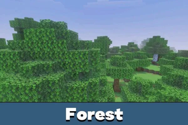 Forest from Sildurs Vibrant Shaders for Minecraft PE