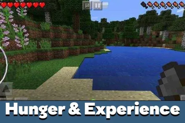 Hunger and Experience in Minecraft PE 0.12