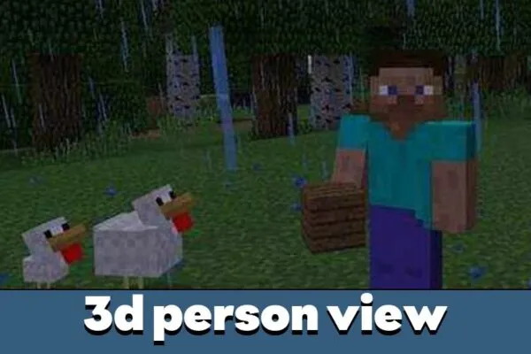 3D person view in Minecraft PE 0.12