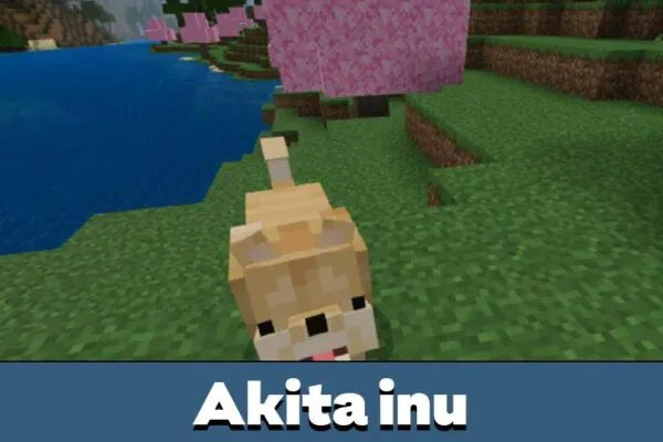 Akita inu from Japan Mod for Minecraft PE