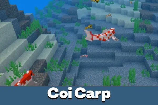 Coi carp from Japan Mod for Minecraft PE