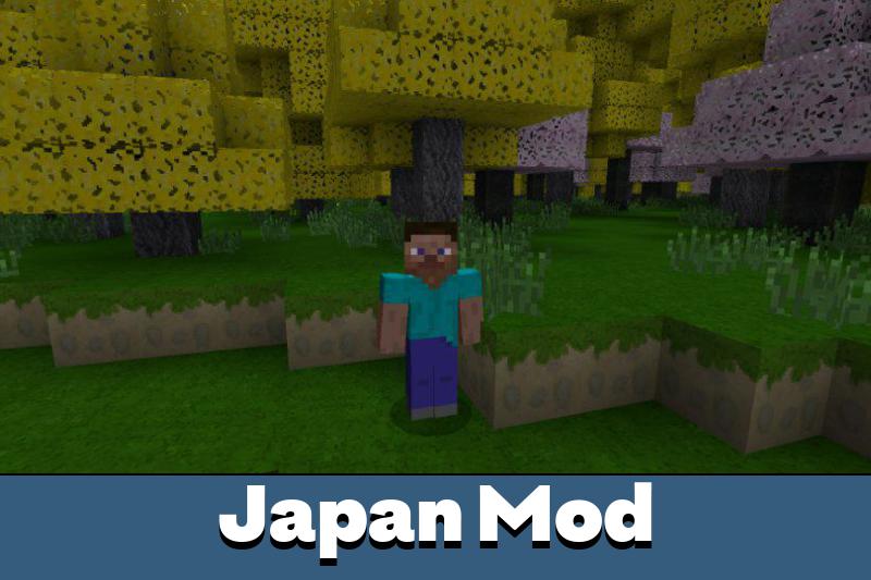 Download Japan for Minecraft PE mod: new features