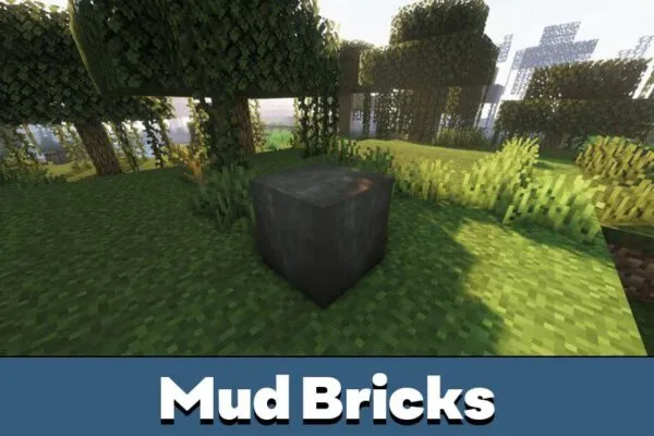 Mud Bricks from Minecraft 1.19