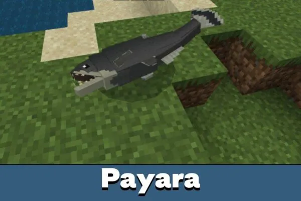 Payara from River Monsters Mod for Minecraft PE