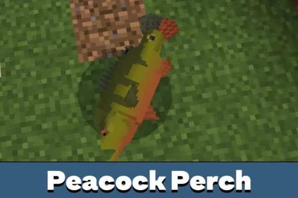 Peacock Perch from River Monsters Mod for Minecraft PE